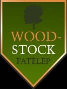 company_logo